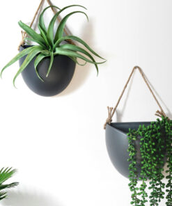 Nordic Hydroponic Ceramic Flower Plant Pot Wall Hanging