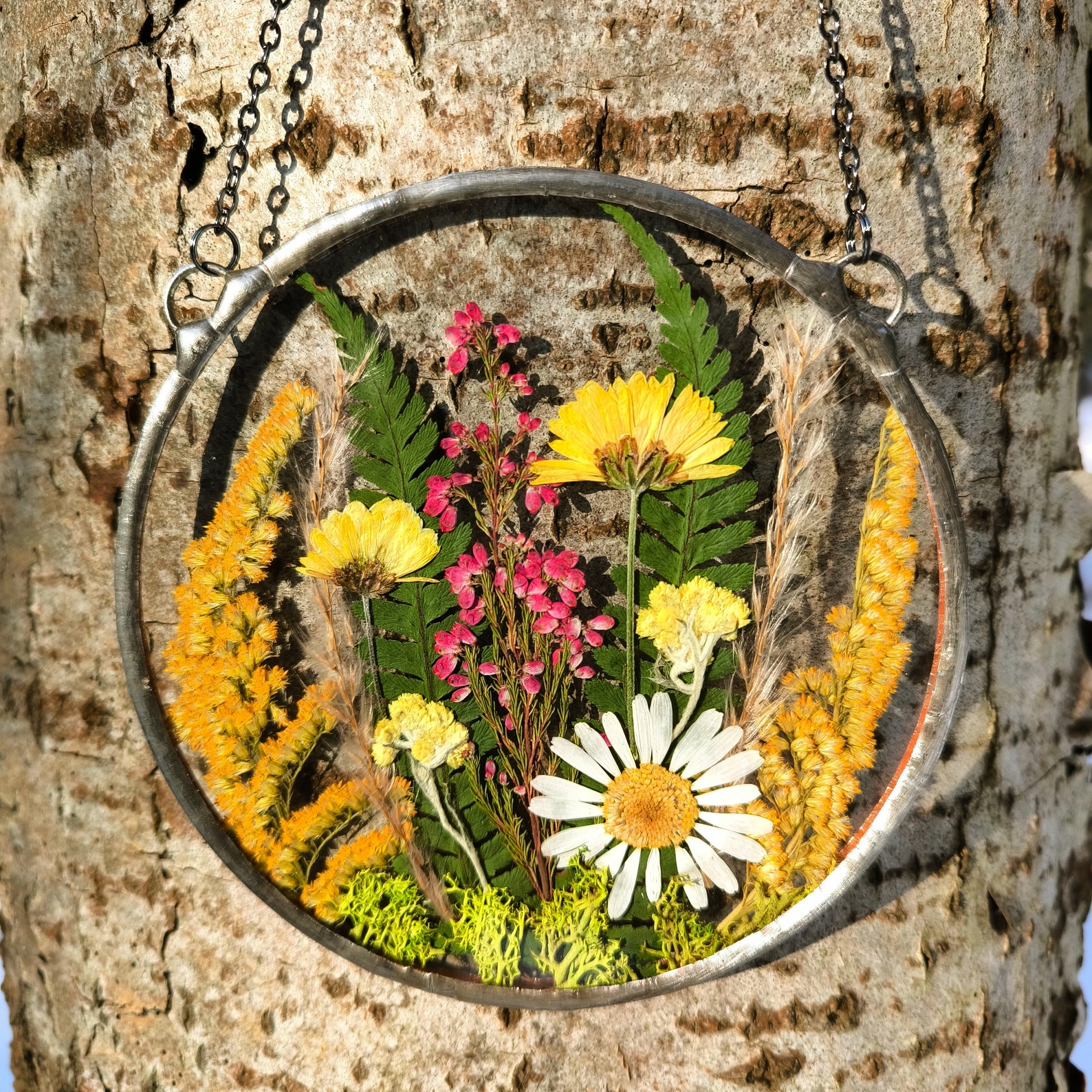 Pressed Flower Suncatcher, Original Artwork - Real Pressed Wildflower In Frame - Image 3