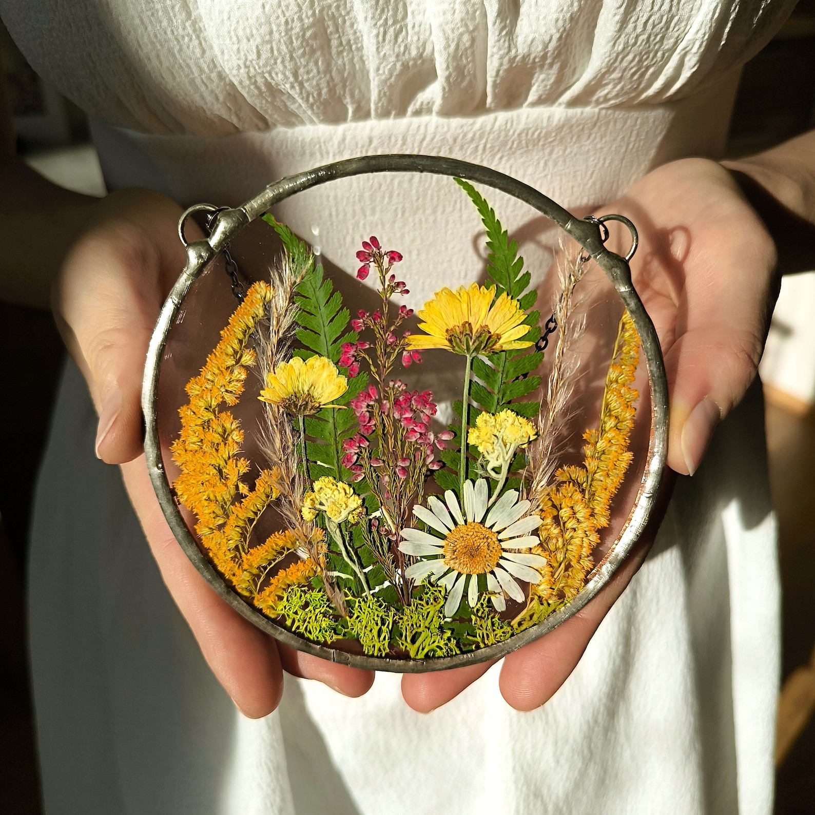 Pressed Flower Suncatcher, Original Artwork - Real Pressed Wildflower In Frame